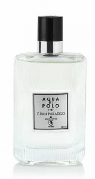 Aqua Di Polo 1987 Gran Paradiso EDP 100 ml Erkek Parfümü kullananlar yorumlar